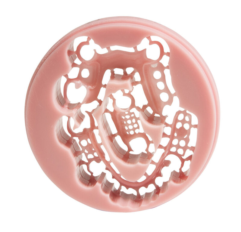 DuraFlex RPD Flexible Partial Denture Frame Disc