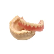 Digital denture